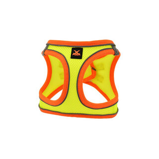 Nayeco X-TRM Neo Amarelo Peitoral para cães
